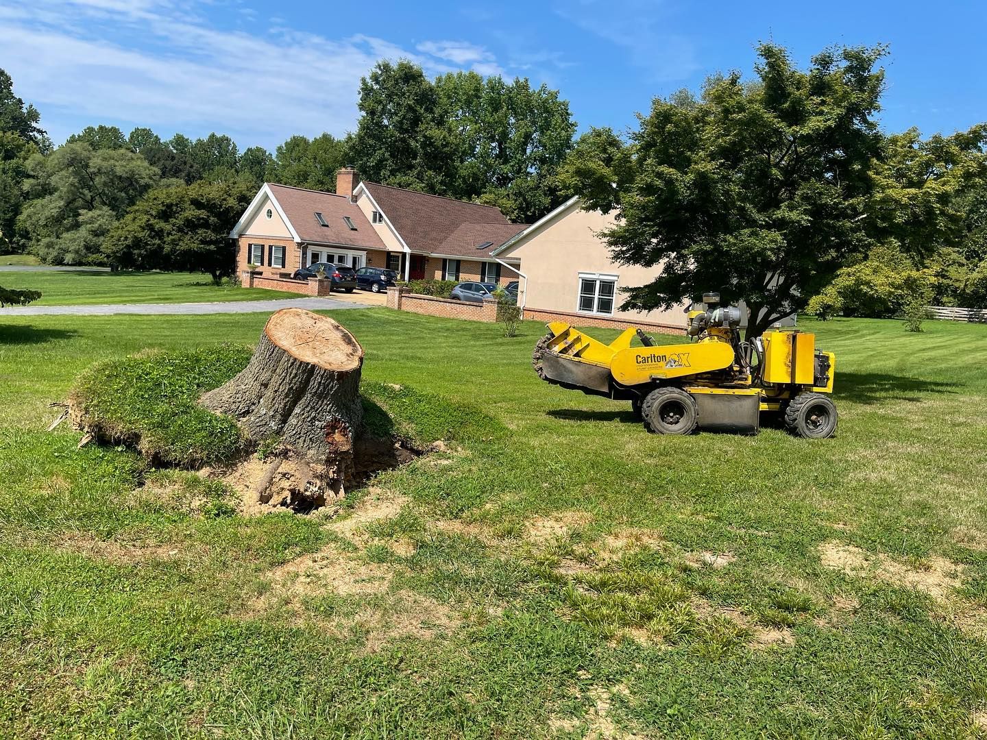 A yellow stump grinder is sitting in a grassy field next to a tree stump.