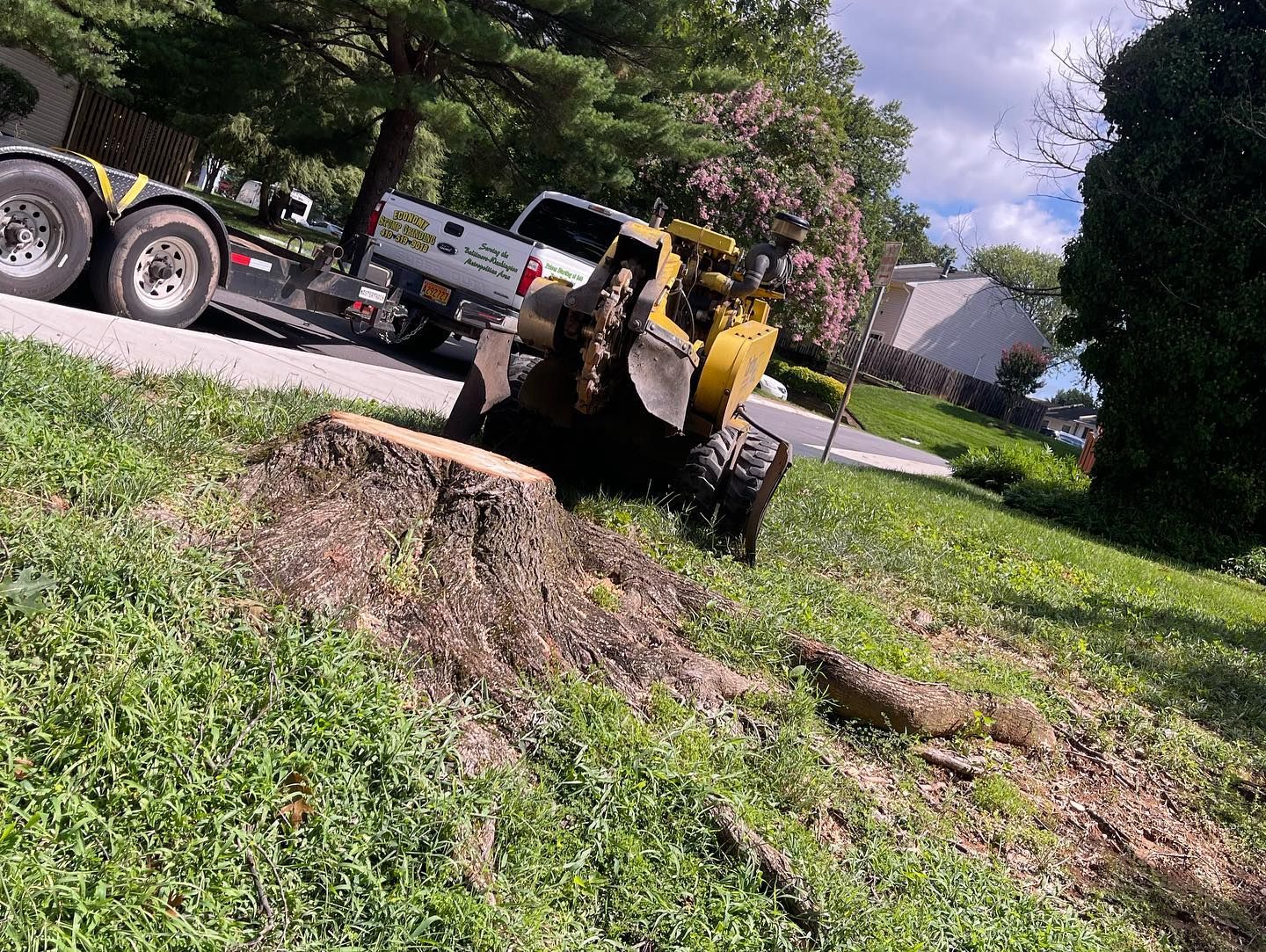 A stump grinder is sitting on top of a tree stump next to a truck.