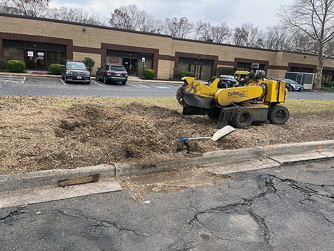 A yellow stump grinder is cutting down a tree in front of a building.