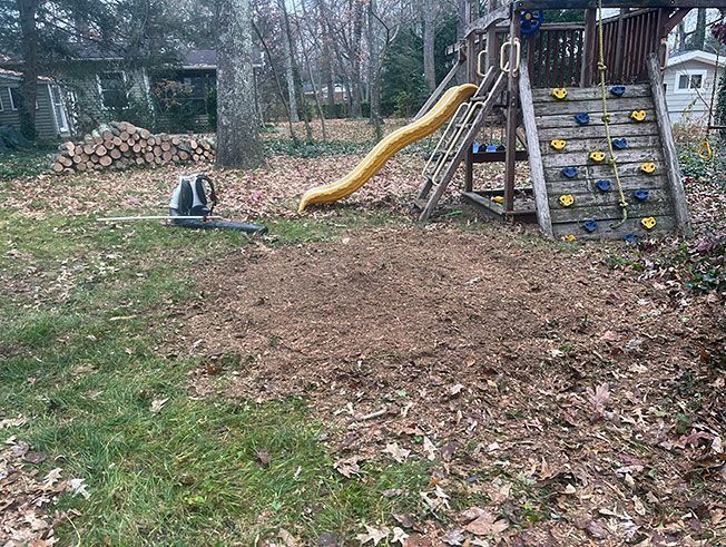 A playground with a slide and a climbing wall in a backyard.