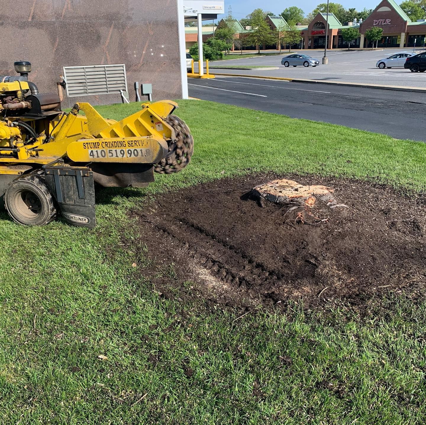 A yellow stump grinder working on a tree stump in grass, next to a building and parking lot.