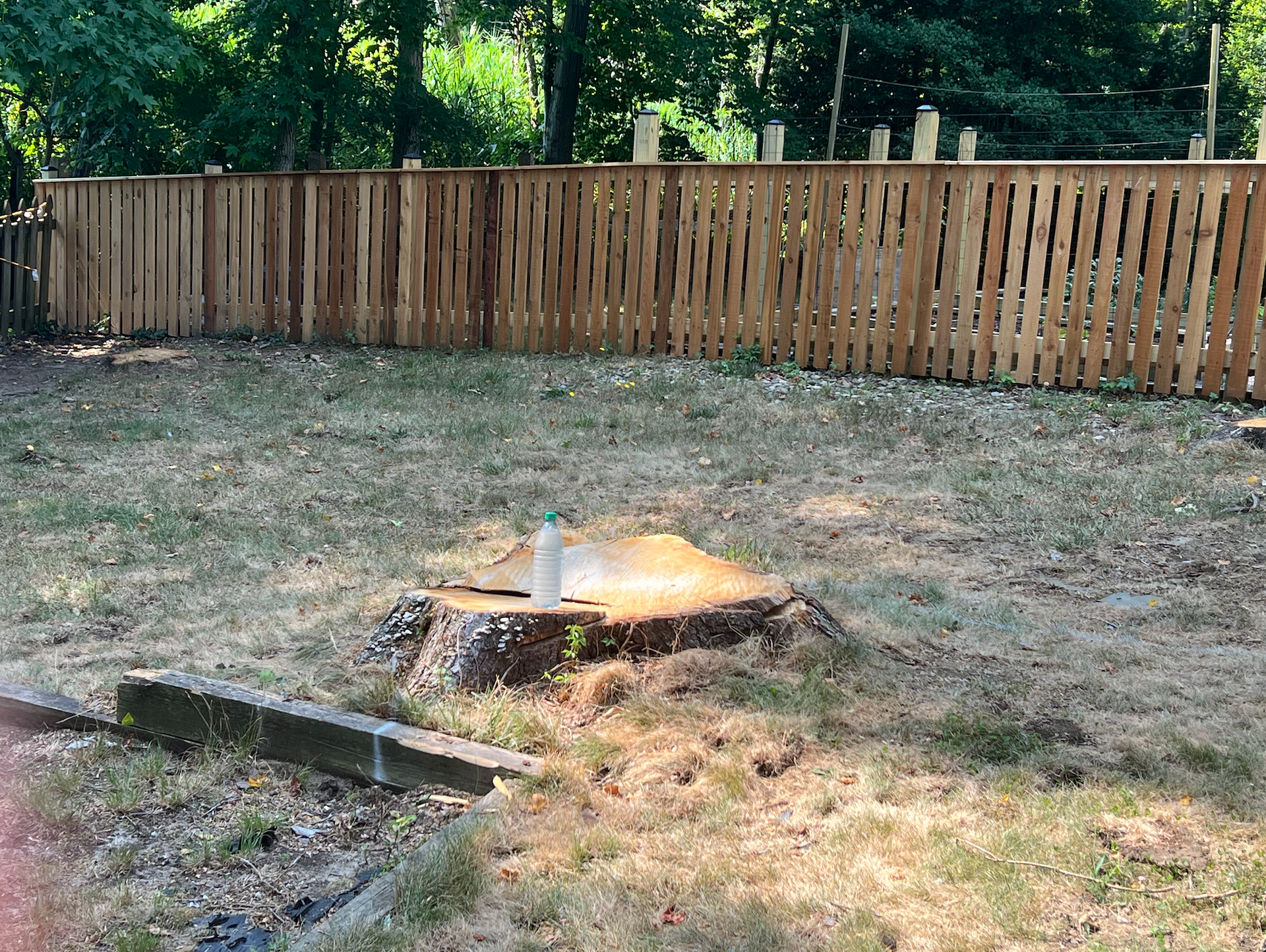 A stump grinder removing a tree stump on a grassy lawn in front of a brick building.