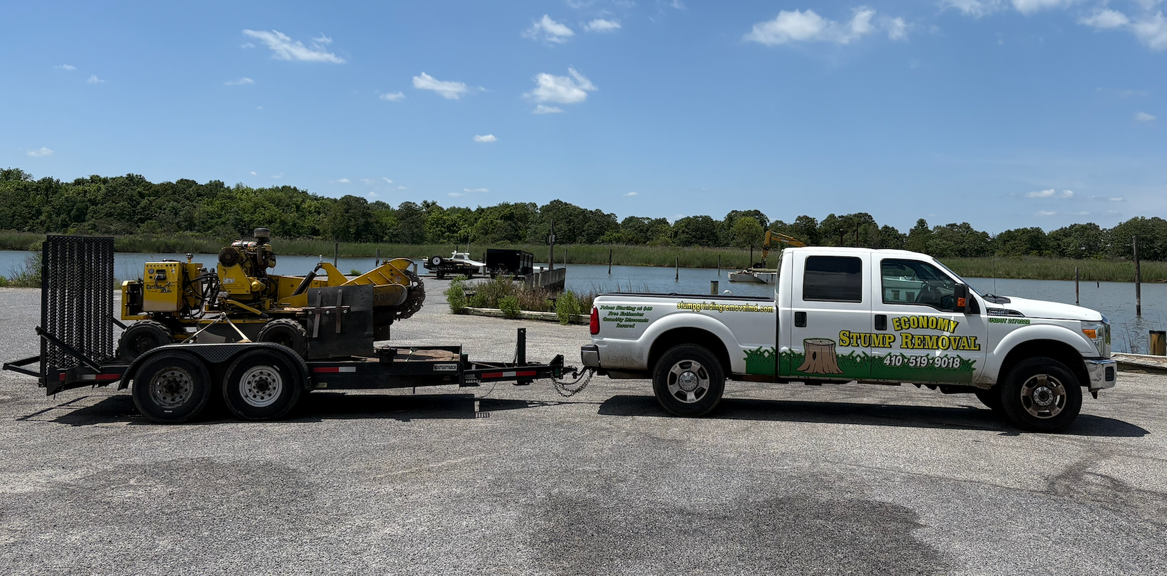 Economy Stump Grinding & Removal gallery 6
