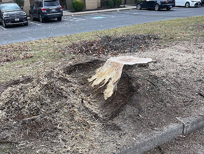 A tree stump is sitting in the middle of a parking lot.