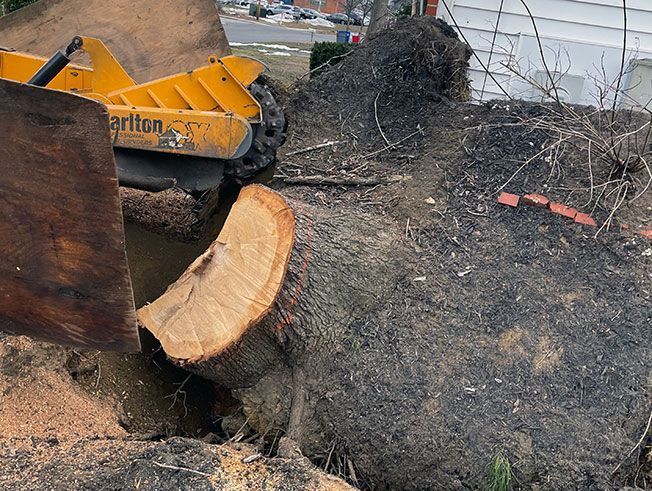 A large tree stump is being removed by a machine.