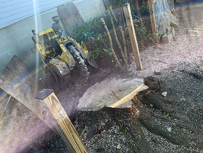 A large tree stump is being removed by a machine.