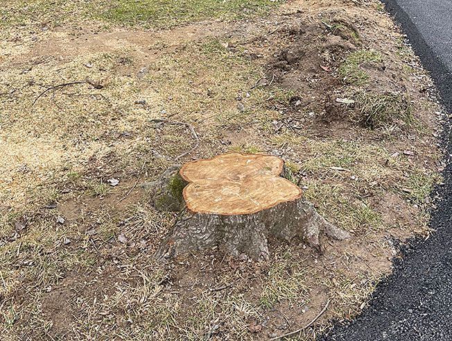 A tree stump is sitting in the grass next to a road.