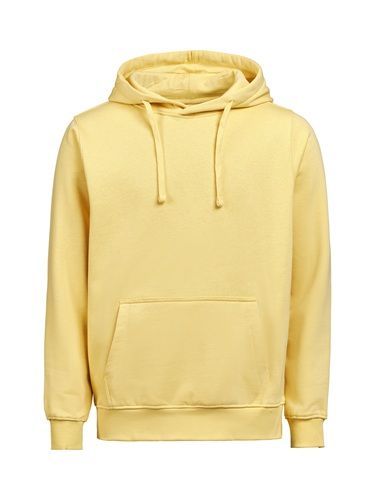 Hoodie Regular Fit
