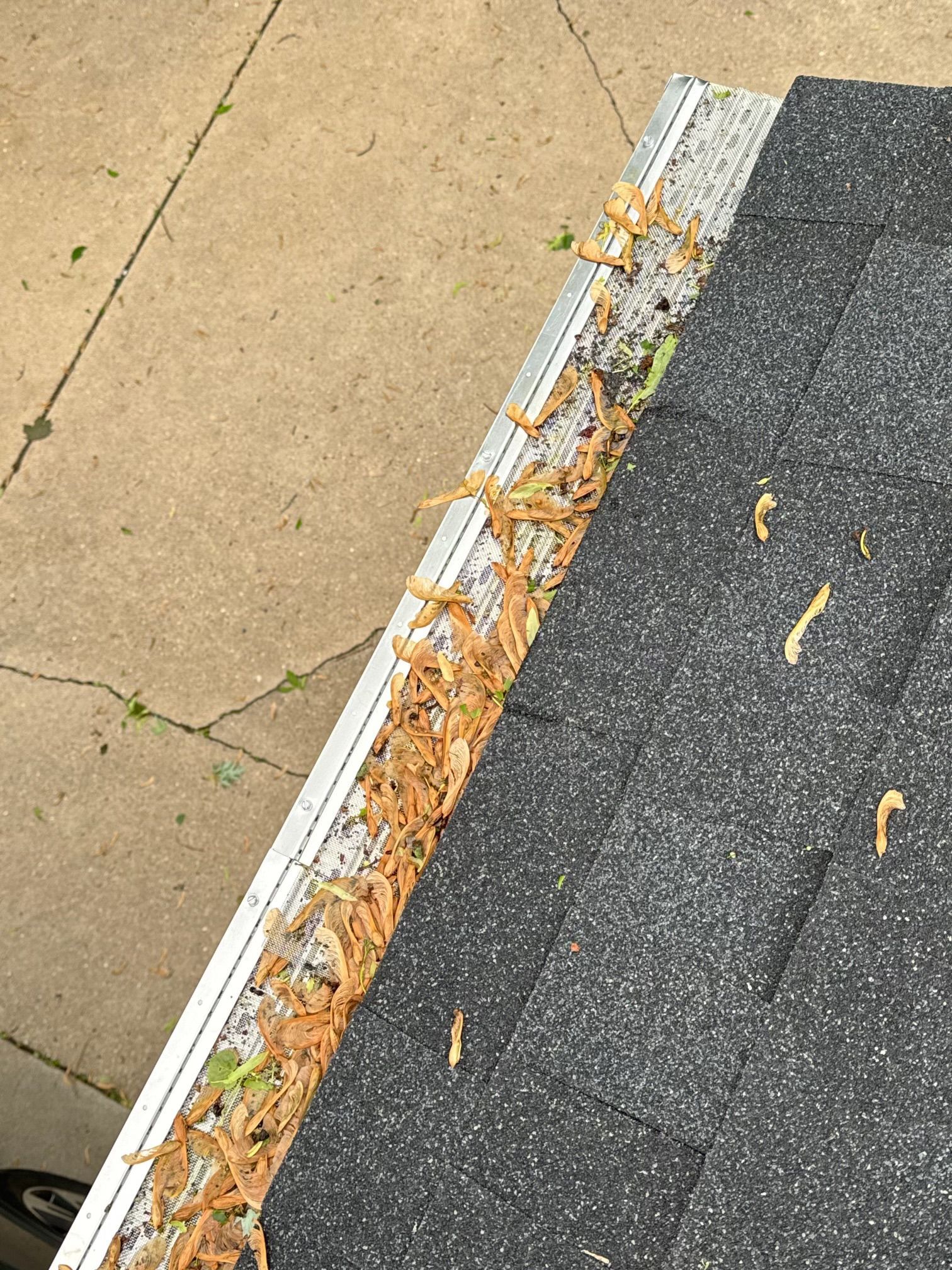 Gutter with gutter guards installed