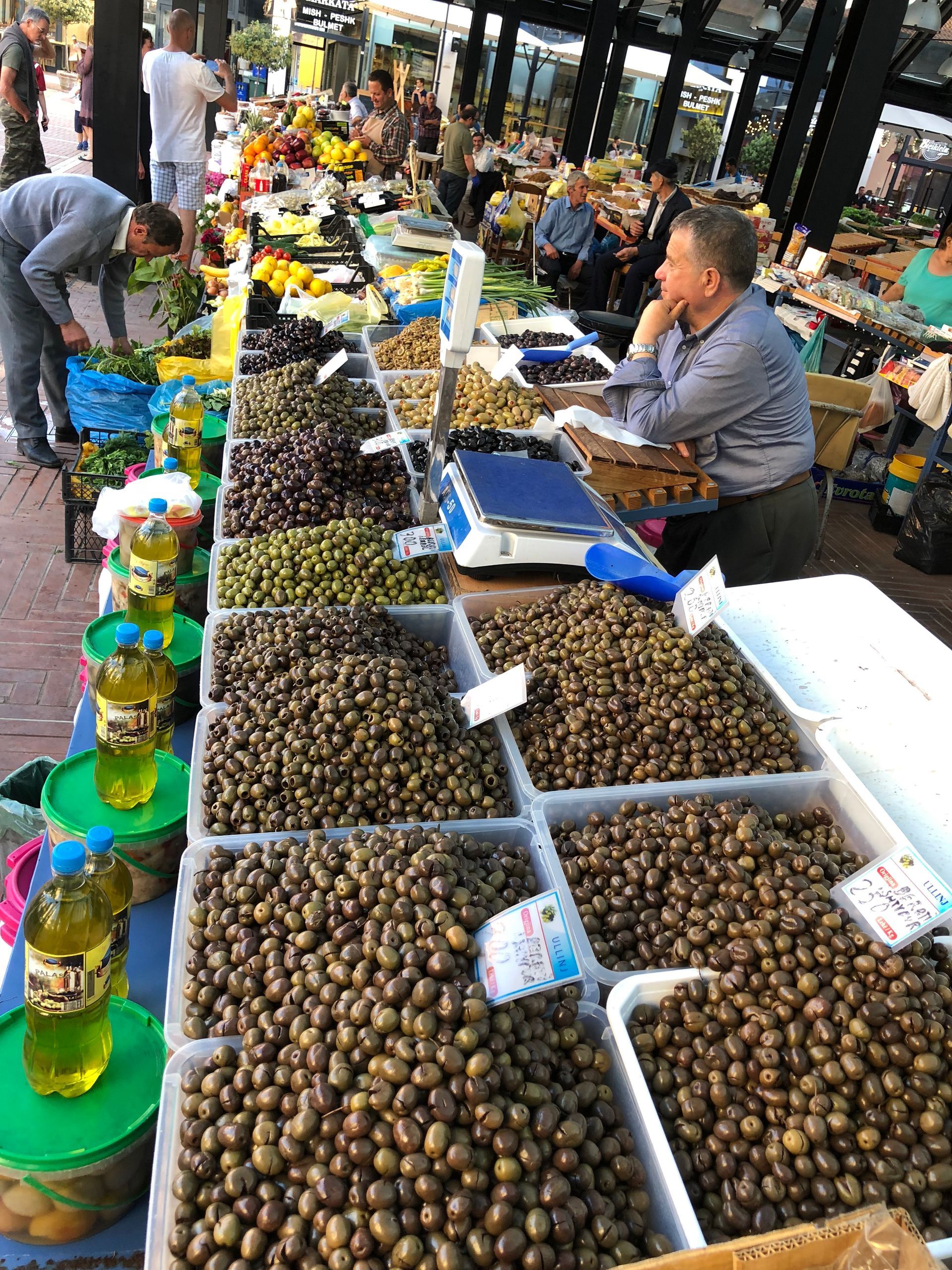 Tour in moto in Albania