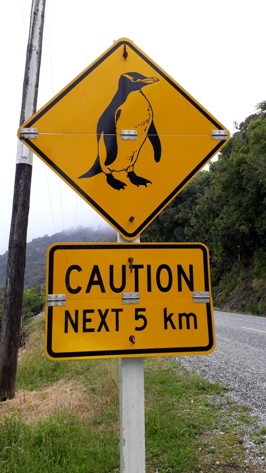 Paolo Bertelli Tour in moto Nuova Zelanda