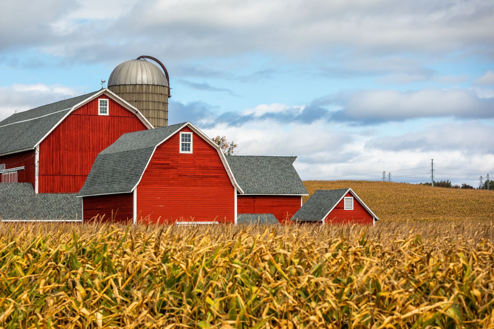 Red barns and a silo in a harvested cornfield under a cloudy sky