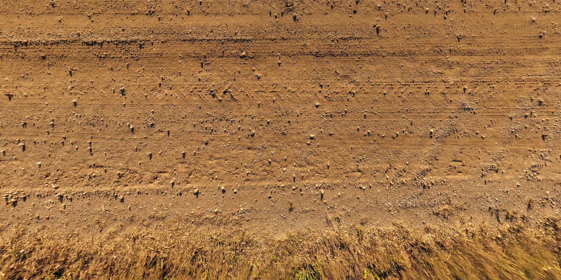 An aerial view of a dry field with a lot of birds flying over it.