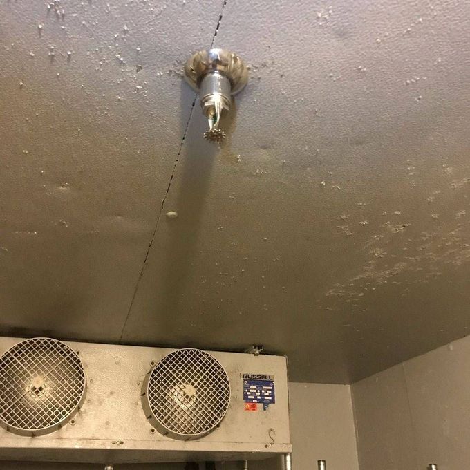 A ceiling with two fans and a sprinkler on it.