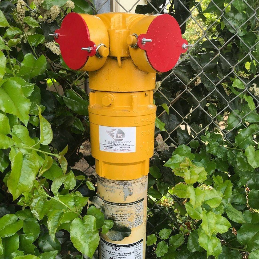 A yellow fire hydrant with red caps is sitting next to a chain link fence.