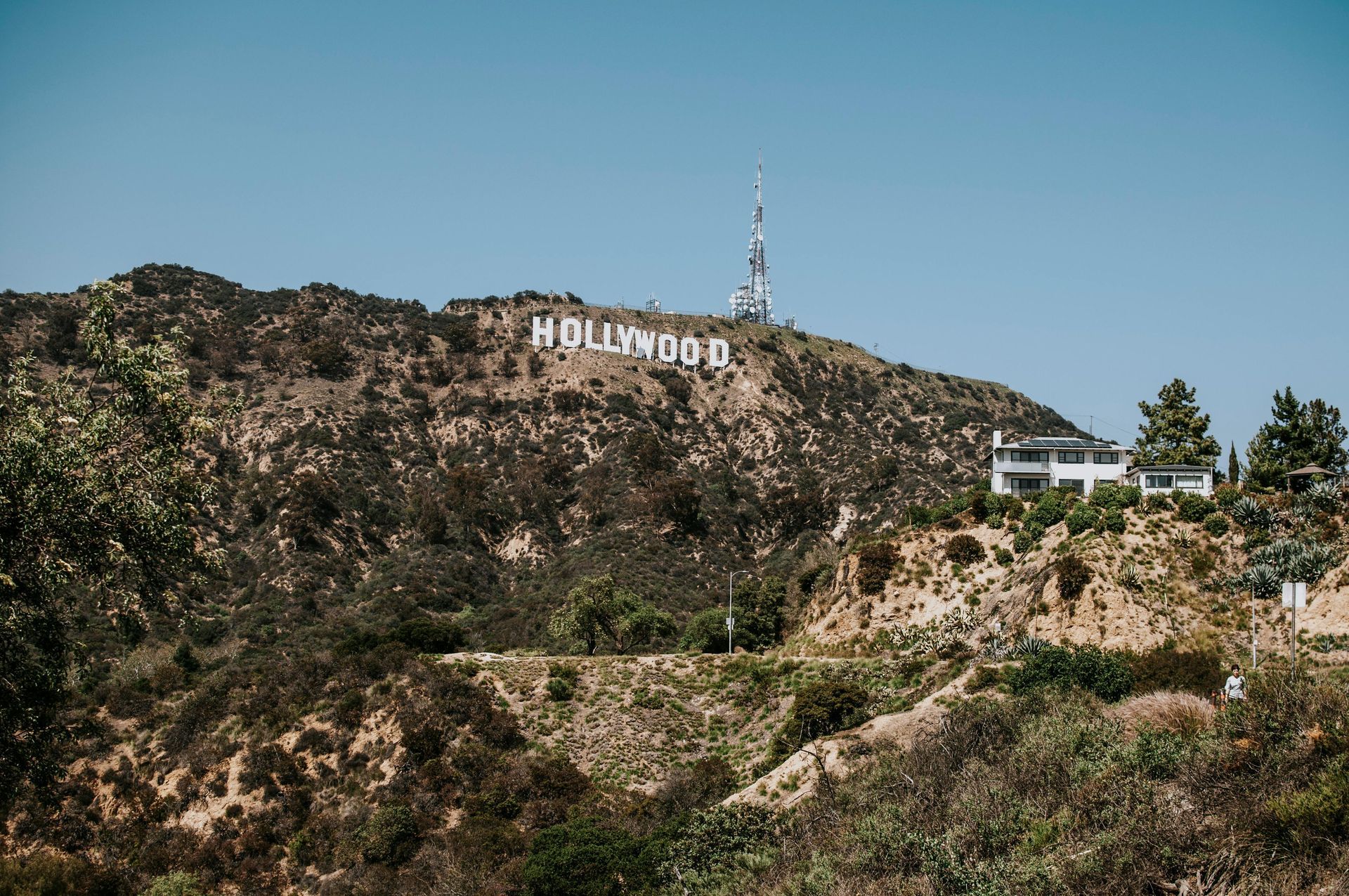 the Hollywood sign in Griffith park
