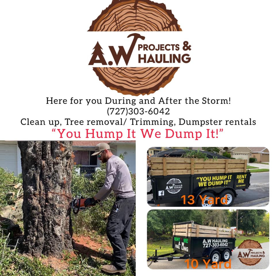 tree removal services | Lutz, FL | A. W Projects & Hauling