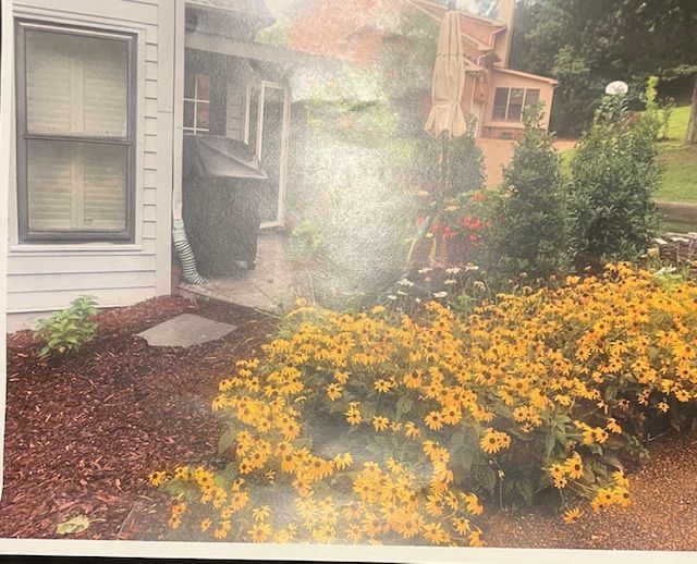 A picture of a house with yellow flowers in front of it