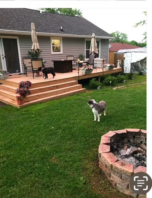 A dog standing next to a fire pit in front of a house