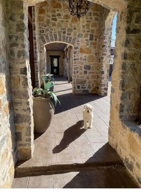 A small white dog is standing in a stone hallway