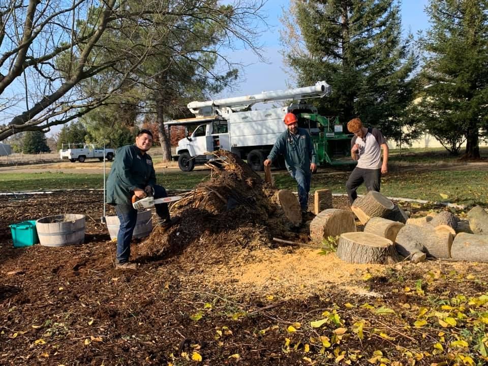 A group of people are working in a yard with a truck in the background.