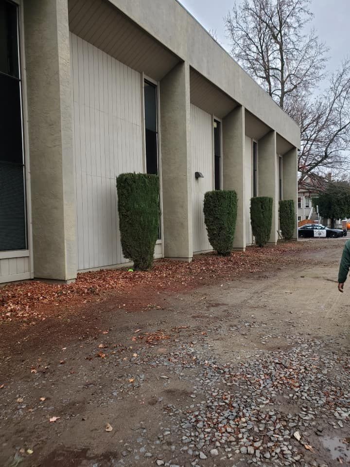 A building with a lot of bushes in front of it