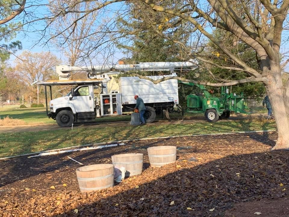 A white truck is parked next to a green tree chipper.