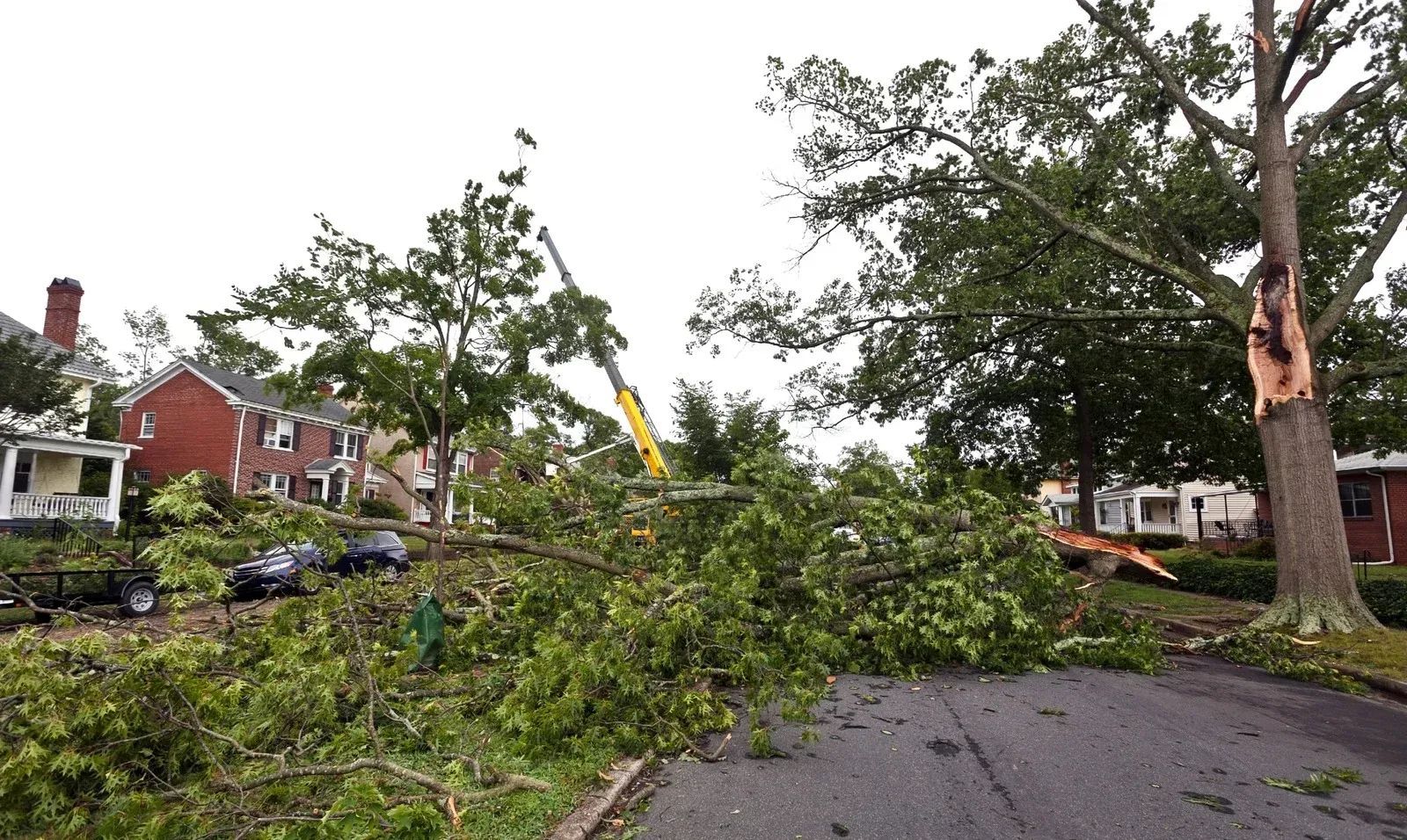 Fallen tree debris blocks street; crane and workers clear limbs near houses after storm.