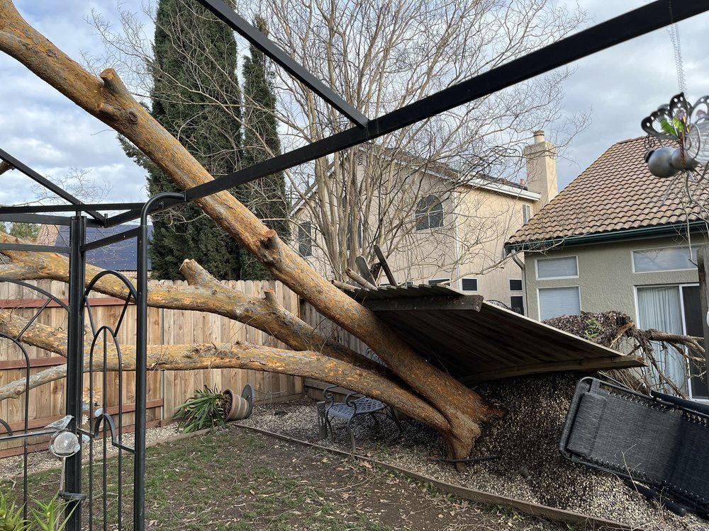 A tree branch has fallen on a fence in front of a house.