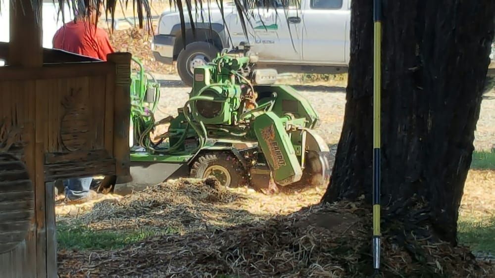 A stump grinder is being used to remove a tree stump.