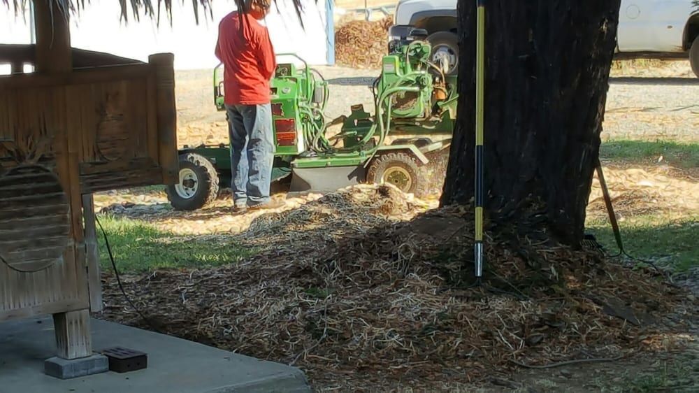 A man is standing in front of a tree stump grinder.