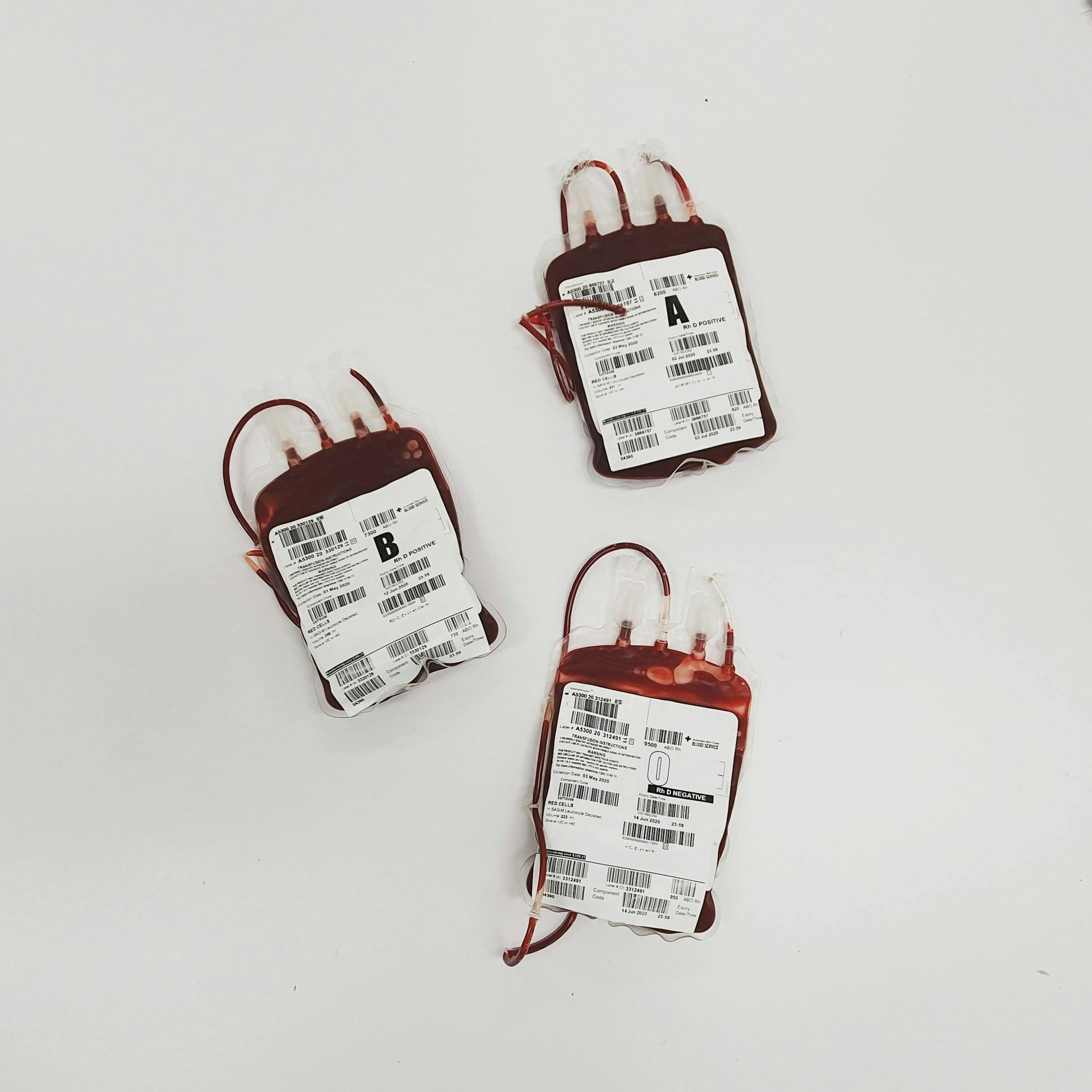 Blood Transfusion Reaction