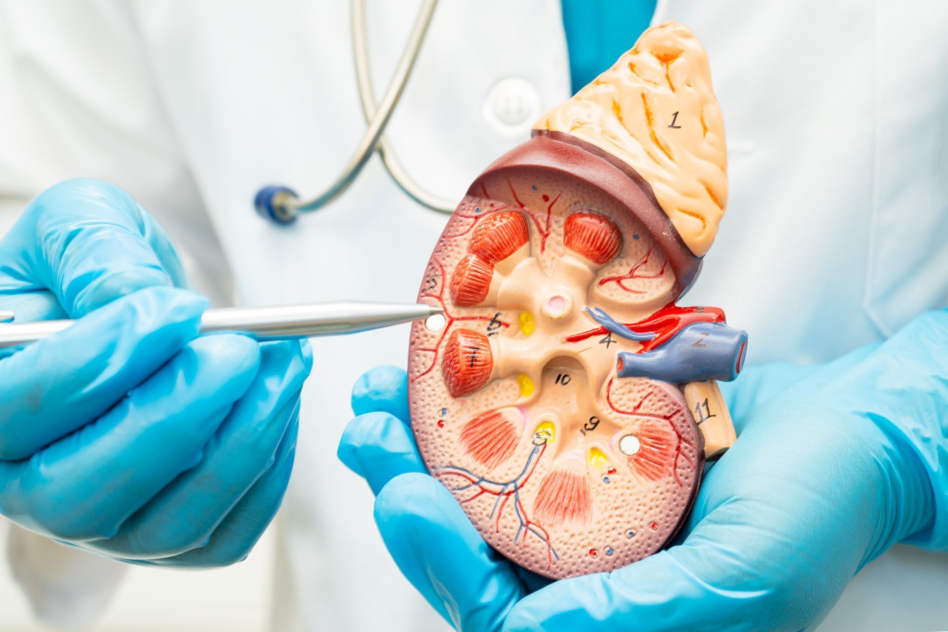 Acute Kidney Injury