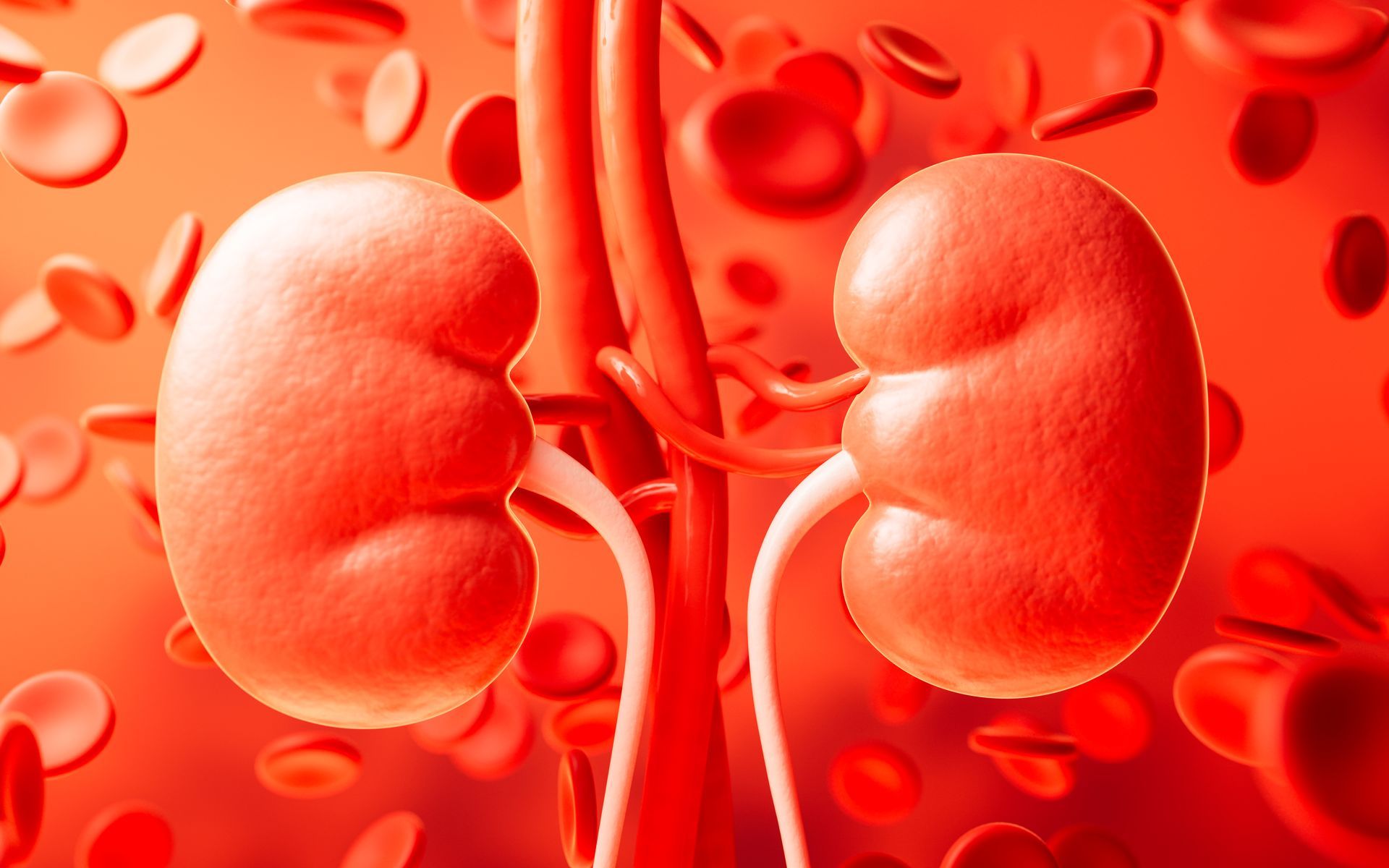 kidney injury