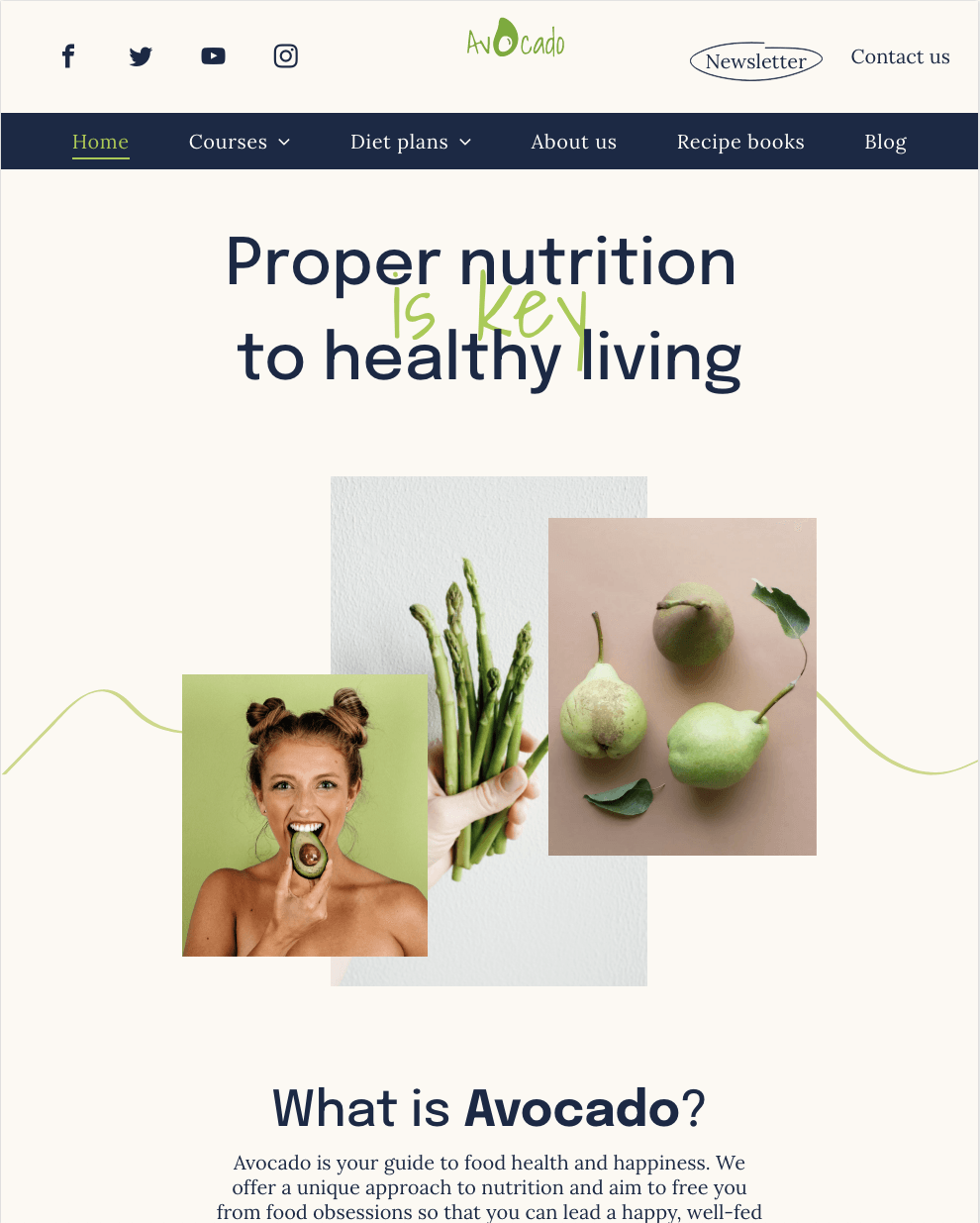 A screenshot of a website that says proper nutrition is key to healthy living