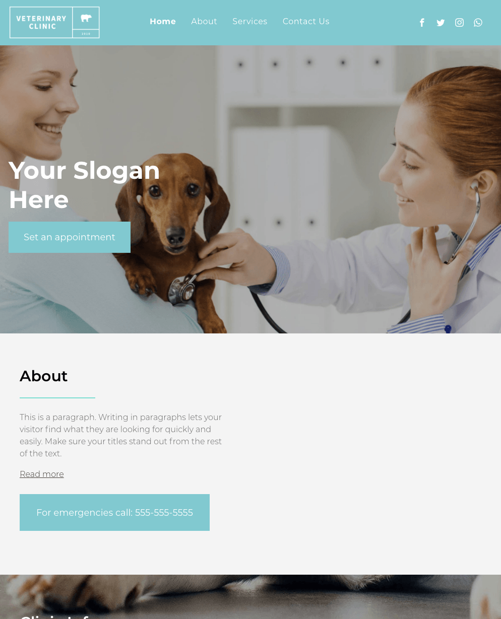 A veterinarian is examining a dachshund with a stethoscope.