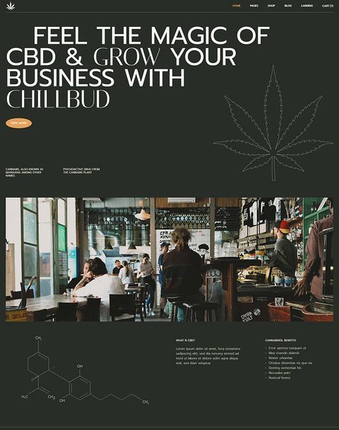 A poster that says feel the magic of cbd & grow your business with chillbud