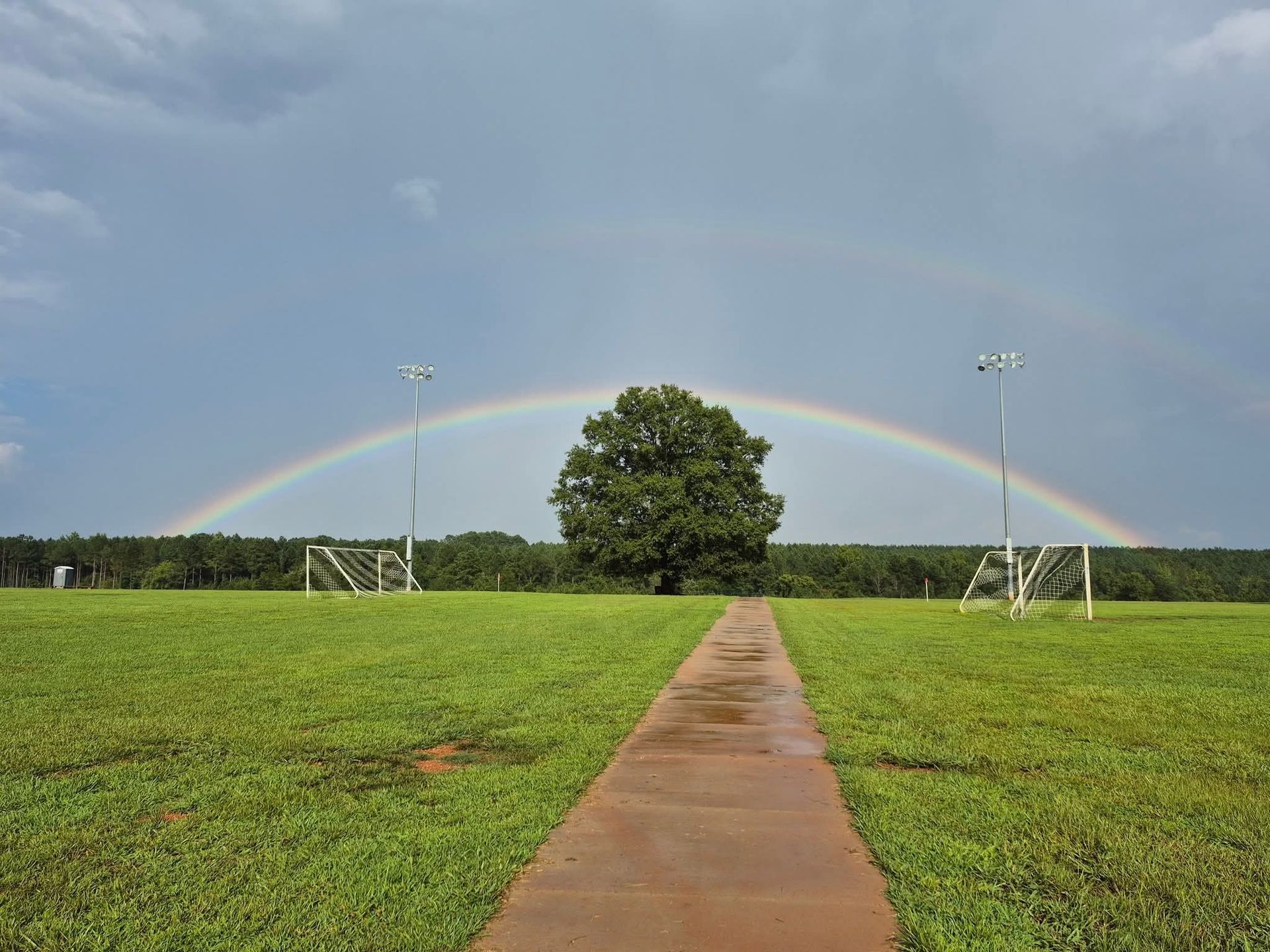 A vibrant rainbow arches over a large, solitary tree in a grassy park, centered behind a straight concrete path.