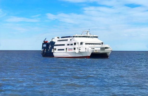 Un gran barco blanco flota sobre una masa de agua.