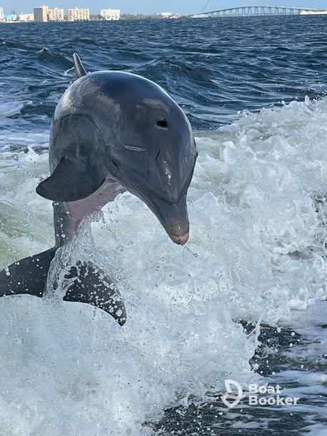 A white motorboat with three people on board speeds across the blue water on a sunny day.