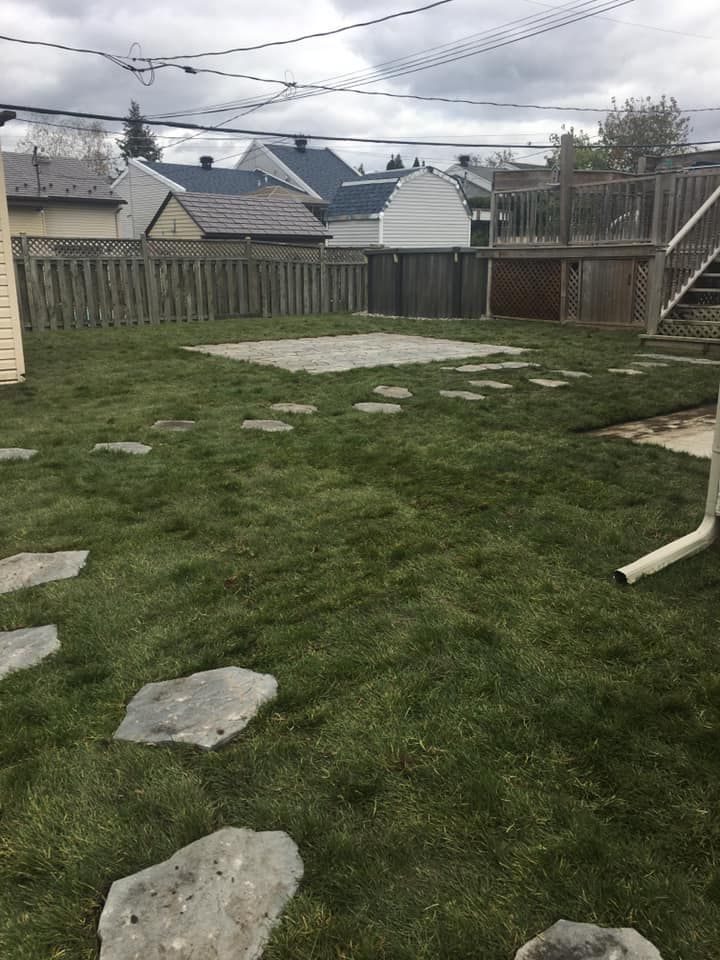 Une cour avec beaucoup d'herbe et de rochers.