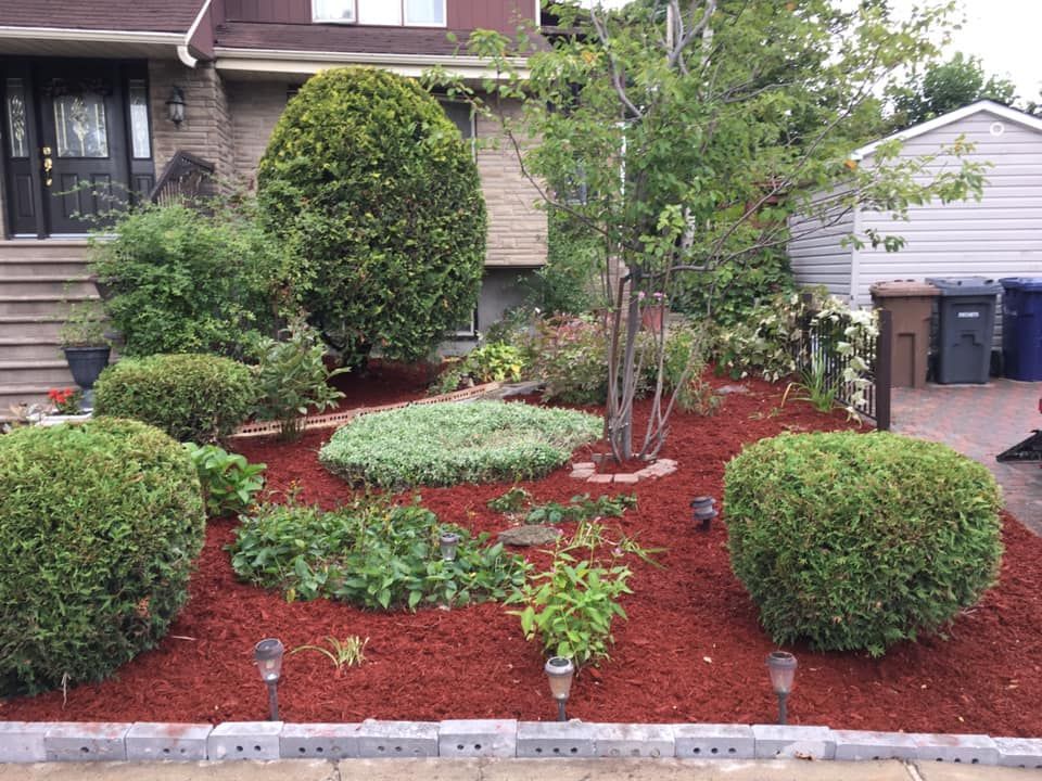 Un jardin avec beaucoup de plantes et d'arbustes devant une maison.