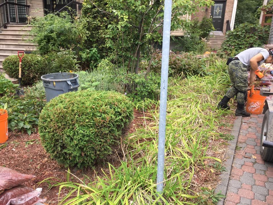 Un homme travaille dans un jardin devant une maison.