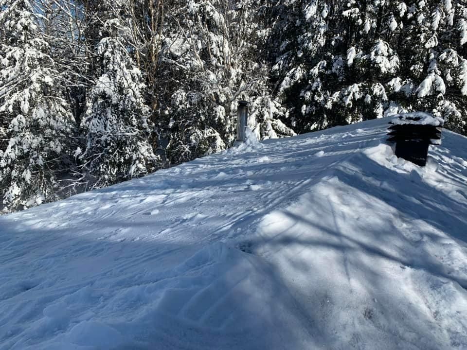 Un toit enneigé avec une cheminée et des arbres en arrière-plan