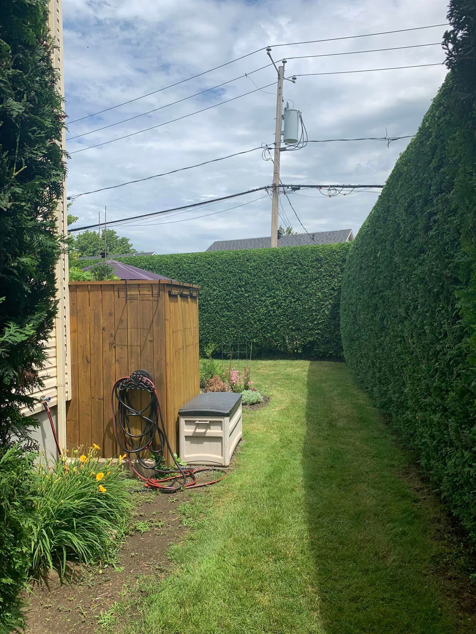 Une cour arrière avec un abri en bois et une haie.