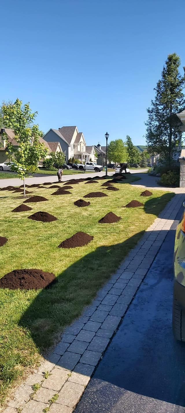 Une voiture est garée devant une pelouse verdoyante.