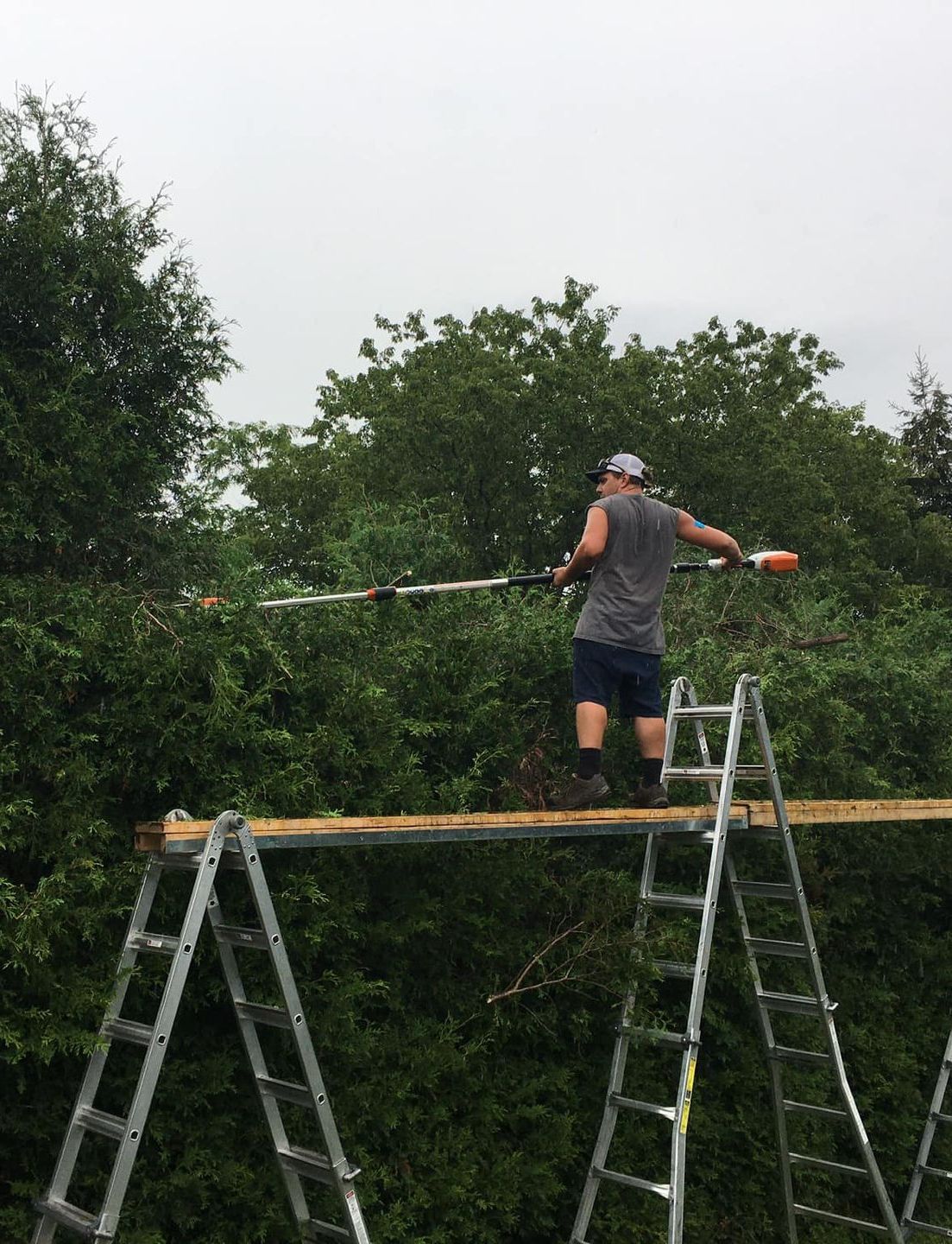 Un homme est debout sur une échelle en train de couper un arbre.