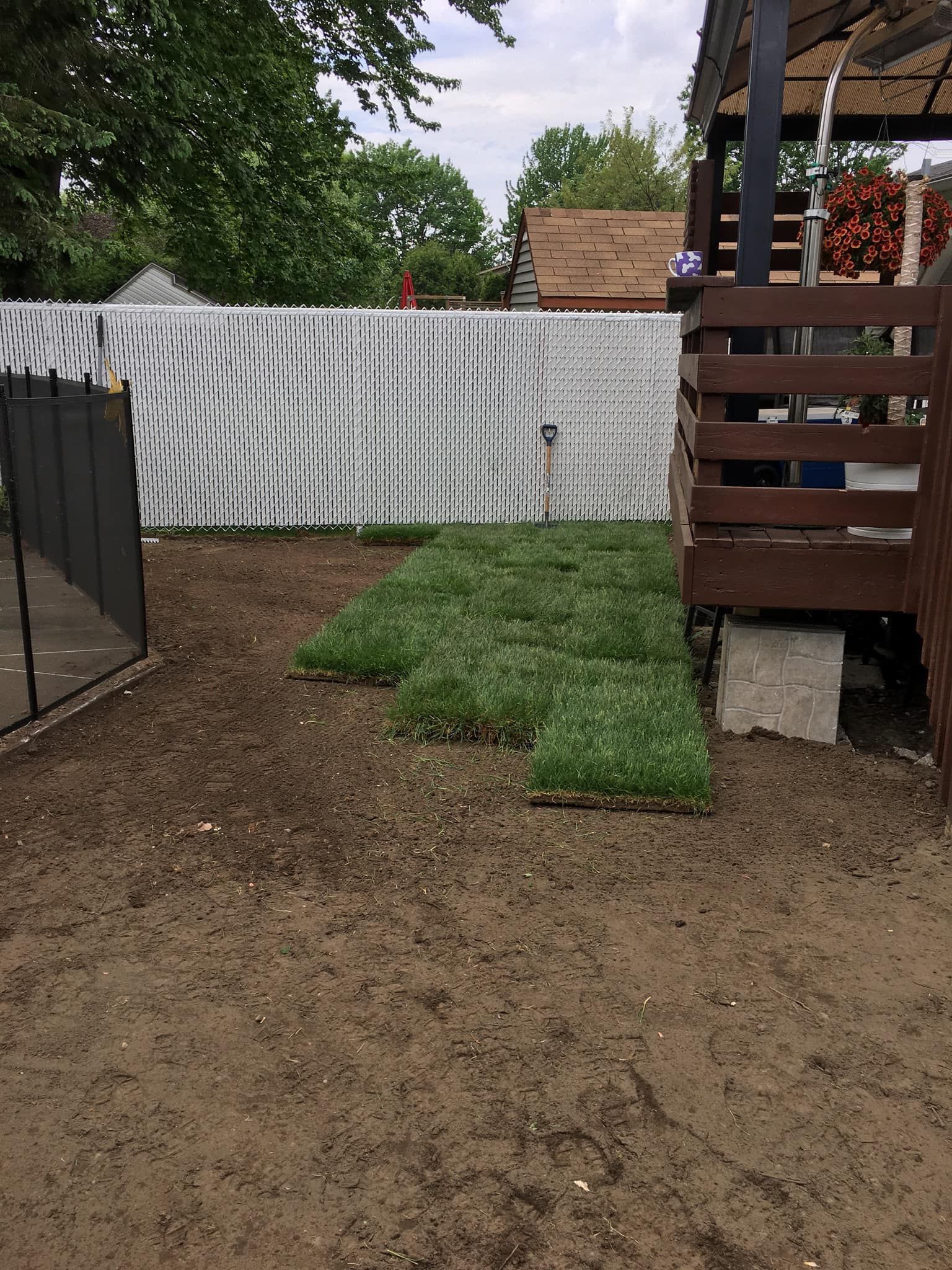 Une cour avec beaucoup d'herbe et une clôture.