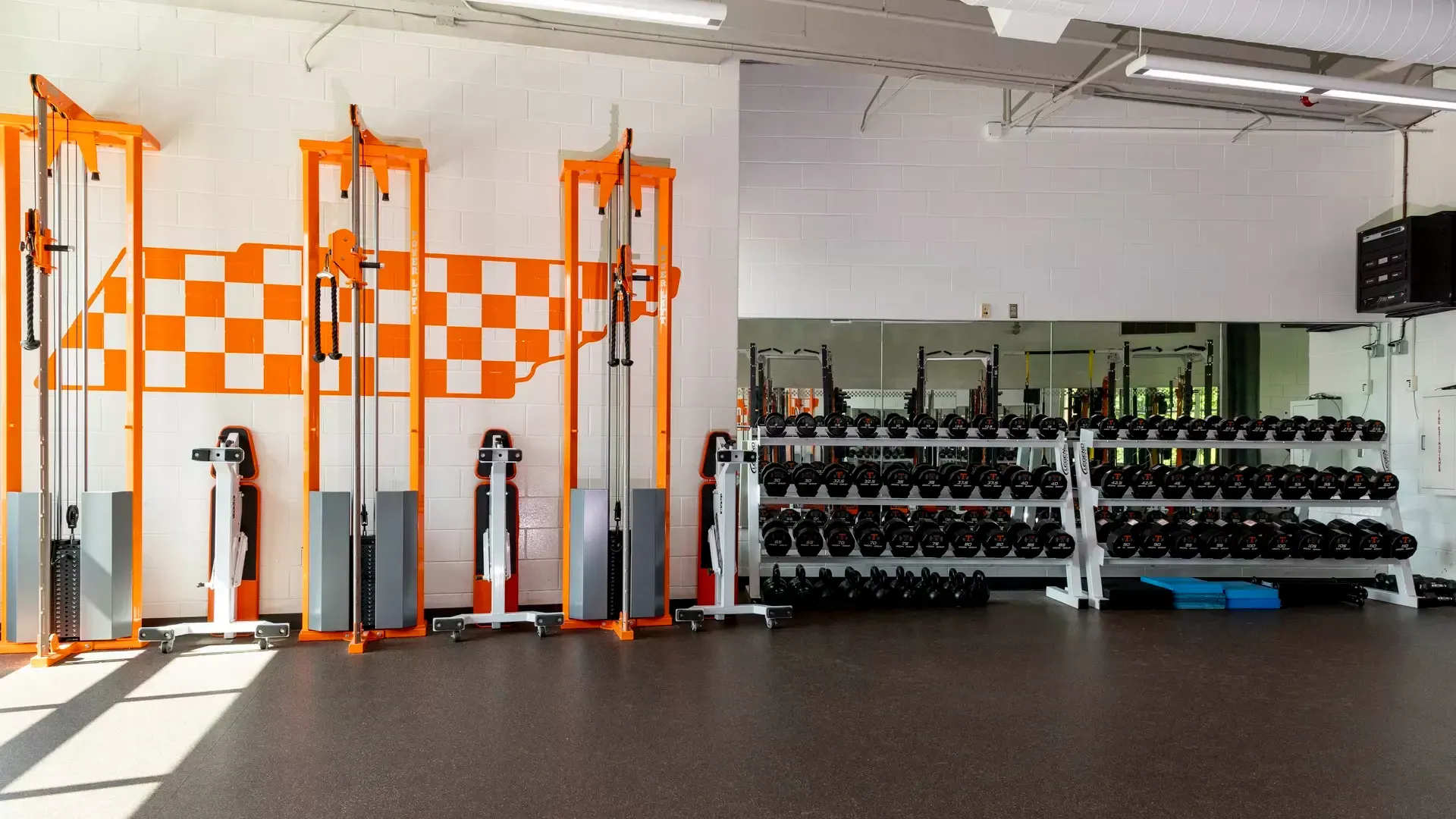 A gym with a lot of dumbbells and a large mirror.