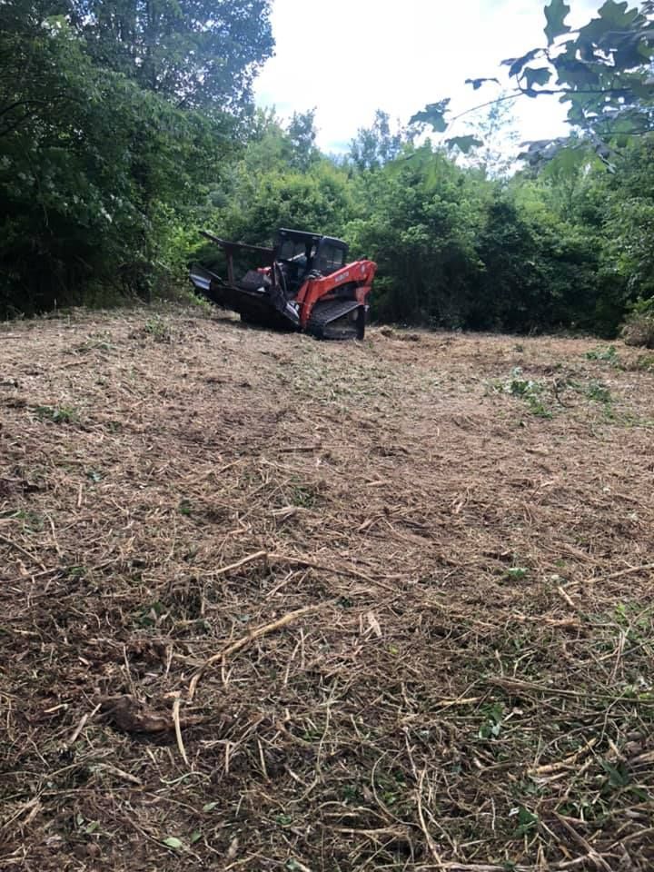 A red tracked skid steer loader clearing brush in a wooded area.